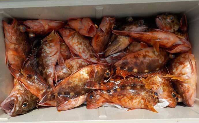 「3kg級シマアジ連打！」金洲五目釣りが好調【船釣り釣果速報14選・愛知／静岡】