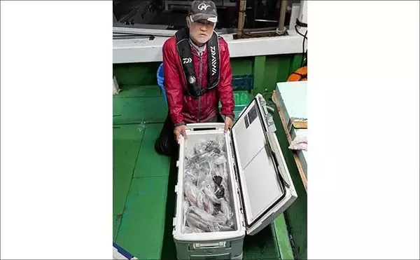 「イカメタルで100尾超え！夜焚きイカ好調キープ中【響灘エリアの沖釣り釣果速報7選・福岡】」の画像