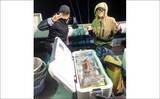 「イカメタルで100尾超え！夜焚きイカ好調キープ中【響灘エリアの沖釣り釣果速報7選・福岡】」の画像6