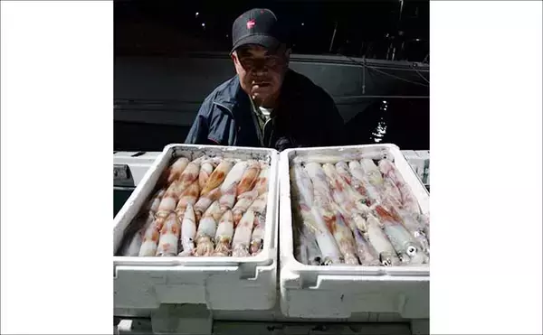 「イカメタルで100尾超え！夜焚きイカ好調キープ中【響灘エリアの沖釣り釣果速報7選・福岡】」の画像