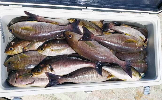 福岡 沖のエサ釣り最新釣果 アラ クエ 釣りで23kg頭に大型続々 22年7月2日 エキサイトニュース