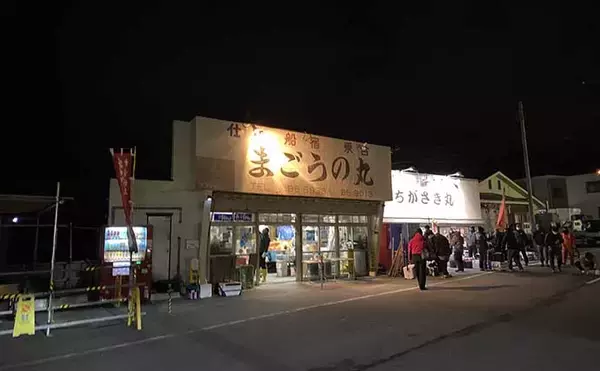 「相模湾アマダイ釣りで42cm頭に良型続々【まごうの丸】 ゲストにトラフグ＆アラ」の画像