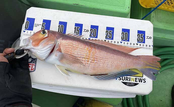 相模湾アマダイ釣りで42cm頭に良型続々【まごうの丸】 ゲストにトラフグ＆アラ