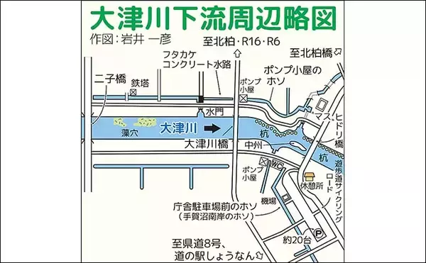 「乗っ込みマブナおすすめ釣り場：千葉・大津川　下流周辺のホソを紹介」の画像