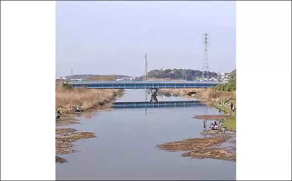 「乗っ込みマブナおすすめ釣り場：千葉・大津川　下流周辺のホソを紹介」の画像