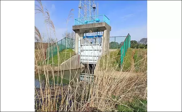 「乗っ込みマブナおすすめ釣り場：千葉・大津川　下流周辺のホソを紹介」の画像