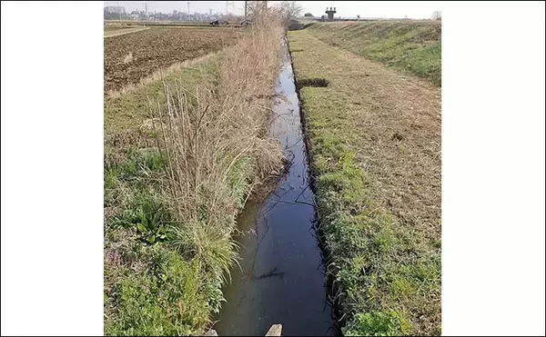 「乗っ込みマブナおすすめ釣り場：千葉・大津川　下流周辺のホソを紹介」の画像