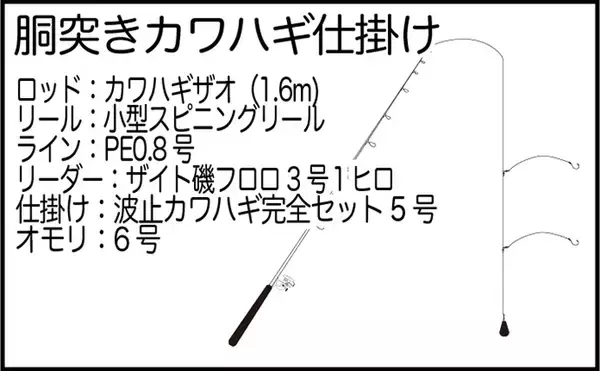 「堤防カワハギ釣りで2ケタ釣果【熊本・天草】胴突き仕掛けの「誘い上げ」が的中」の画像