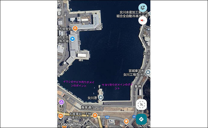 堤防サビキ釣りでマイワシが入れ食い！【宮城・女川】サイズは20cm級と良型