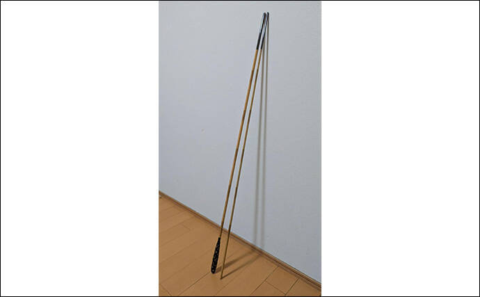 堤防サビキ釣りでマイワシが入れ食い！【宮城・女川】サイズは20cm級と良型