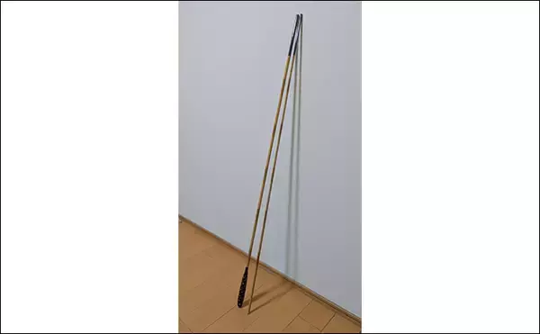 「堤防サビキ釣りでマイワシが入れ食い！【宮城・女川】サイズは20cm級と良型」の画像