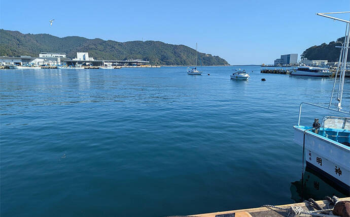 堤防サビキ釣りでマイワシが入れ食い！【宮城・女川】サイズは20cm級と良型