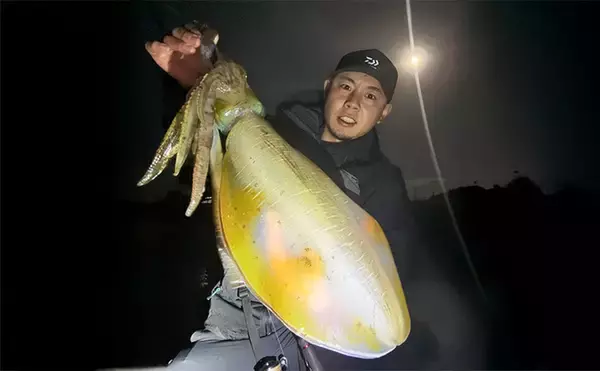 「【2025年に流行った釣りランキング】釣具屋スタッフ200人に聞いてみたら「イカ釣り」が圧倒的過ぎた」の画像