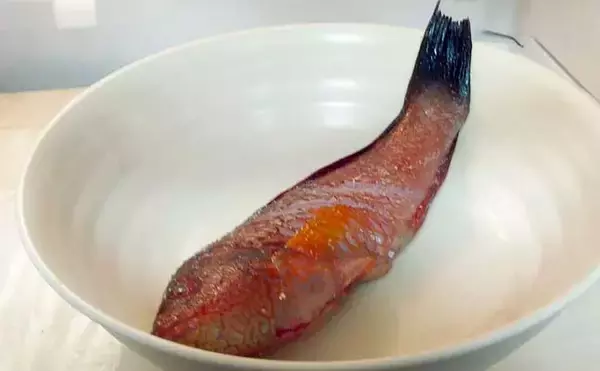 「ゲスト魚で作る「自然食」レシピ：ベラのちょい干し　薄塩がポイント」の画像