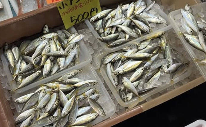 魚市場に並ぶ魚を観察して8月の奥伊勢湾の釣りを予測　タチウオ＆アジに本格シーズン到来