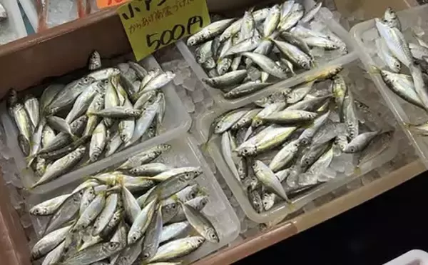 「魚市場に並ぶ魚を観察して8月の奥伊勢湾の釣りを予測　タチウオ＆アジに本格シーズン到来」の画像
