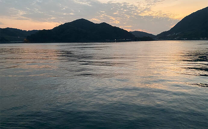 ソルトアングラーが考える夏休みの自由研究：雑食性のクロダイはどんな食材で釣れるのか