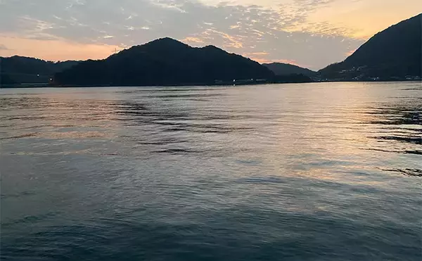 「ソルトアングラーが考える夏休みの自由研究：雑食性のクロダイはどんな食材で釣れるのか」の画像