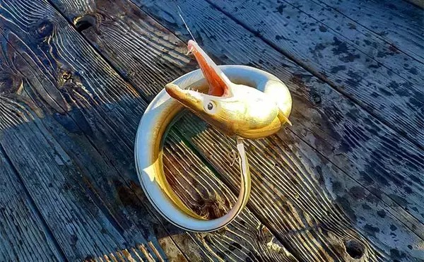 「イカダでのノマセ釣り＆エギングの二刀流が熱い【三重・迫間浦】1.3kg頭に大型アオリ手中」の画像