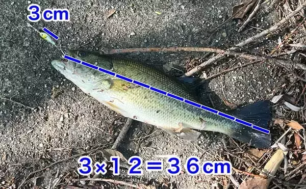 「「第一印象はまさかの臭っ！」苦節20年で人生初のブラックバスが釣れた【豊田市水源公園】」の画像