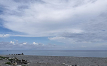 ＜アオザメ＞の驚くべき体温調節能力が明らかに　低水温の深海に潜る前に体温を上げる？