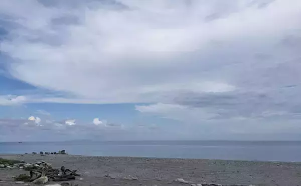 ＜アオザメ＞の驚くべき体温調節能力が明らかに　低水温の深海に潜る前に体温を上げる？