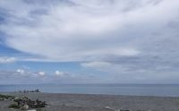 ＜アオザメ＞の驚くべき体温調節能力が明らかに　低水温の深海に潜る前に体温を上げる？