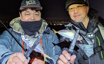 今シーズン絶不調の伊勢湾奥アジングに挑戦【アールホリック号】満月は釣れない？