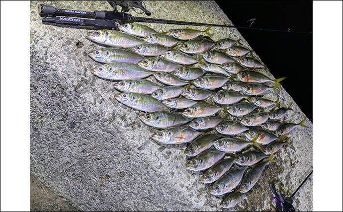 「ニューロッドでアジ連発！」 アジングで25cm筆頭に40匹超え【和歌山・中紀】