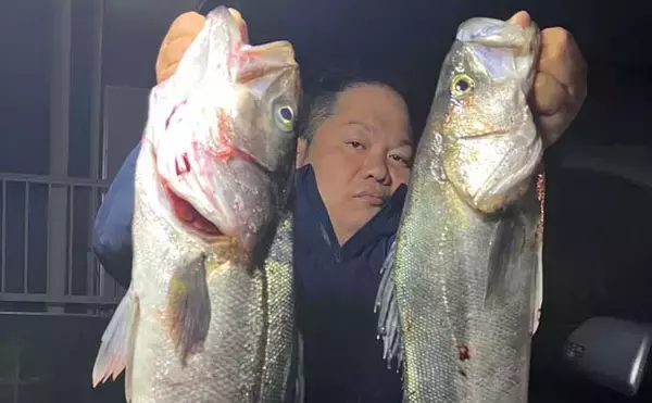 「ベイトの小魚が接岸中！」陸っぱりルアー釣りで良型シーバス連打【福岡】