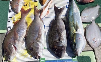 タイラバで本命マダイが船中2桁釣果！【沖のルアー最新情報9選・三重】