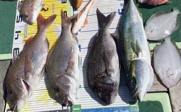 タイラバで本命マダイが船中2桁釣果！【沖のルアー最新情報9選・三重】