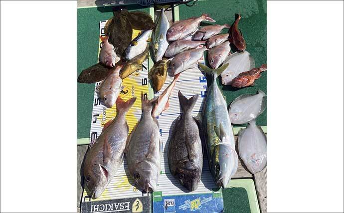 タイラバで本命マダイが船中2桁釣果！【沖のルアー最新情報9選・三重】