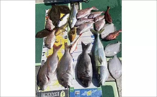 「タイラバで本命マダイが船中2桁釣果！【沖のルアー最新情報9選・三重】」の画像