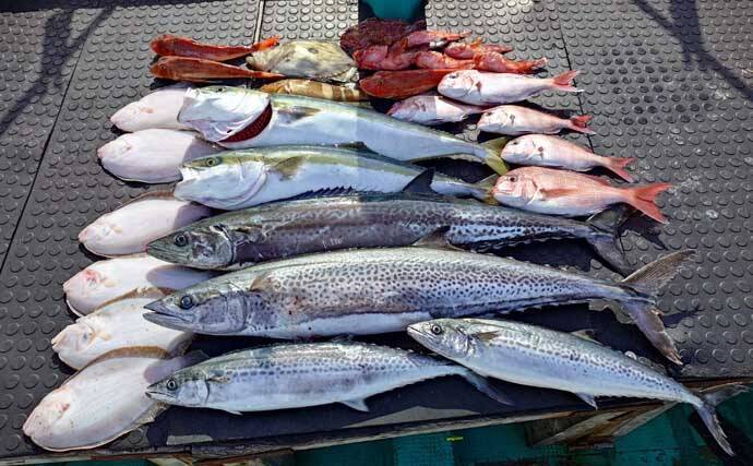 タイラバで本命マダイが船中2桁釣果！【沖のルアー最新情報9選・三重】