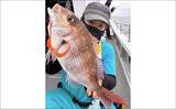 「タイラバで本命マダイが船中2桁釣果！【沖のルアー最新情報9選・三重】」の画像4