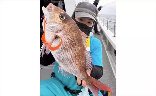 「タイラバで本命マダイが船中2桁釣果！【沖のルアー最新情報9選・三重】」の画像