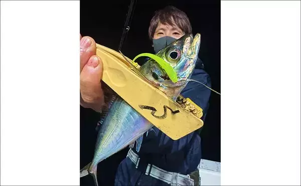 「タイラバで本命マダイが船中2桁釣果！【沖のルアー最新情報9選・三重】」の画像