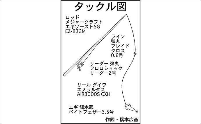 陸っぱりナイトエギングで1.65kgアオリイカ手中　中層狙いが奏功