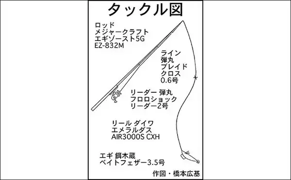 「陸っぱりナイトエギングで1.65kgアオリイカ手中　中層狙いが奏功」の画像