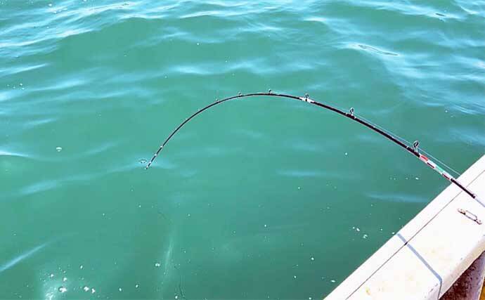 レンタルボートでアカムツを連打【富山・ジョイマリン】 ゼロテンションが決め手