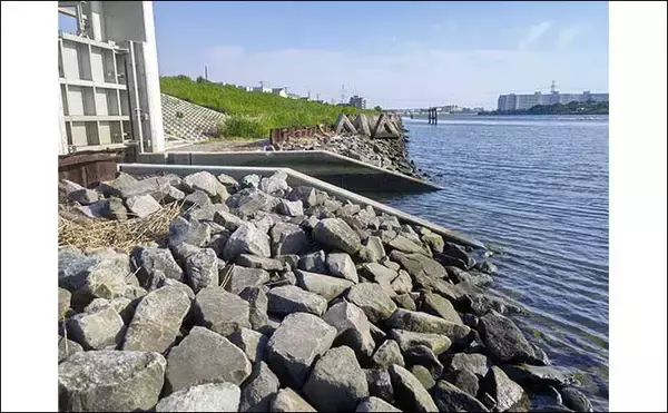 「旧江戸川でのテナガエビ釣りで31尾【千葉・浦安】ダボハゼが多い場所は移動が吉」の画像