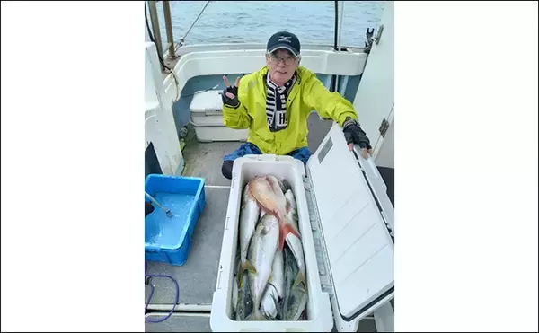 「【落とし込み釣果速報】エサ付き良好で良型ヒラマサにサワラなどでクーラー満タン！（福岡）」の画像