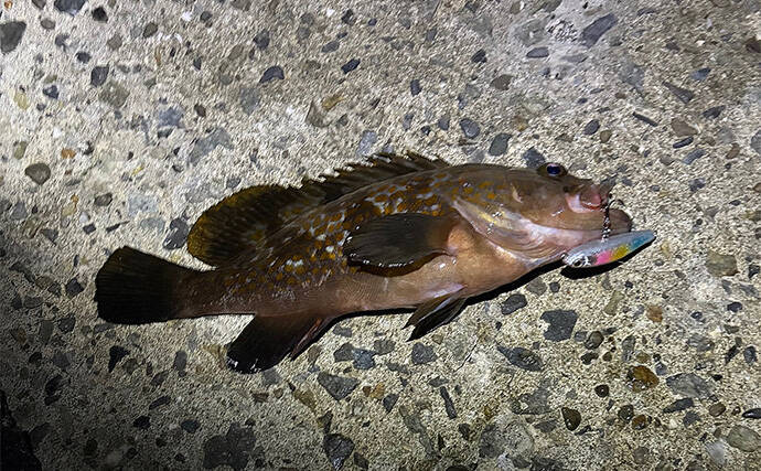 魚がバレる＆針掛かりしない時に検証すべき3つの仮説　変化を加えることが重要