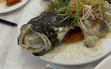 80cmにもなる世界最大のハゼ『ゴビー』　超絶美味だけど泣く子も黙る高級魚？