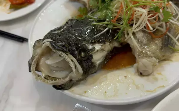 80cmにもなる世界最大のハゼ『ゴビー』　超絶美味だけど泣く子も黙る高級魚？