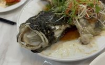 80cmにもなる世界最大のハゼ『ゴビー』　超絶美味だけど泣く子も黙る高級魚？