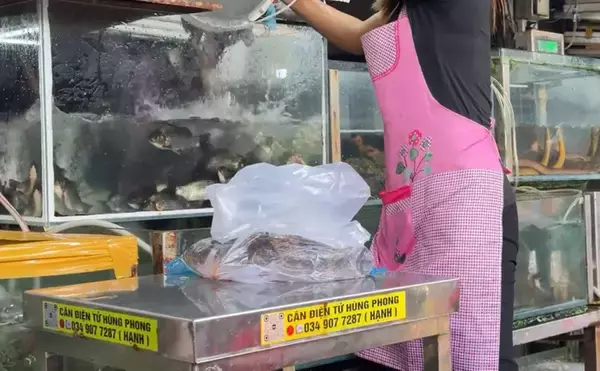 「80cmにもなる世界最大のハゼ『ゴビー』　超絶美味だけど泣く子も黙る高級魚？」の画像