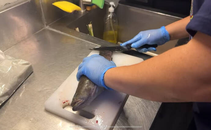 80cmにもなる世界最大のハゼ『ゴビー』　超絶美味だけど泣く子も黙る高級魚？