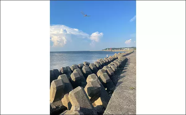 「真冬のアジとメバルはどこにいる？ 水深があって水温が安定している場所へ移動か」の画像